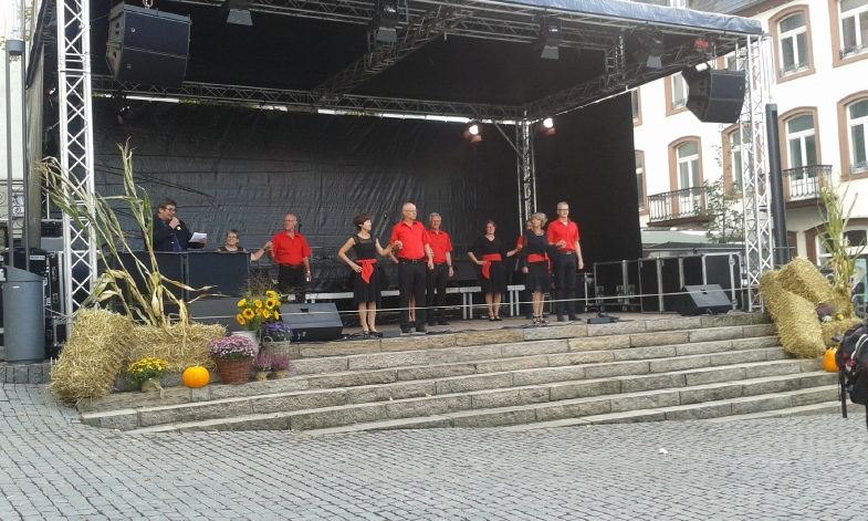 Impressionen Stadtfest_1