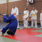 Eindrücke Judotraining